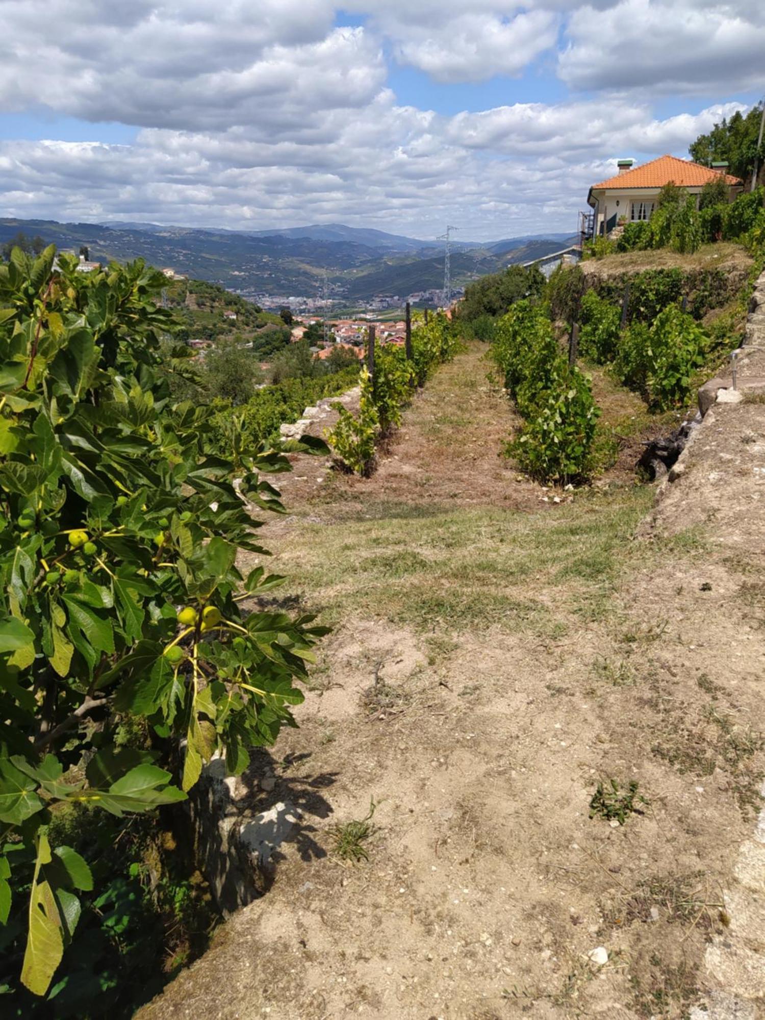 Holiday home Quinta De Penelas *